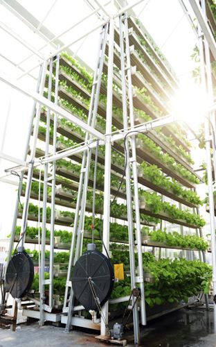 Vertical farm in Singapore